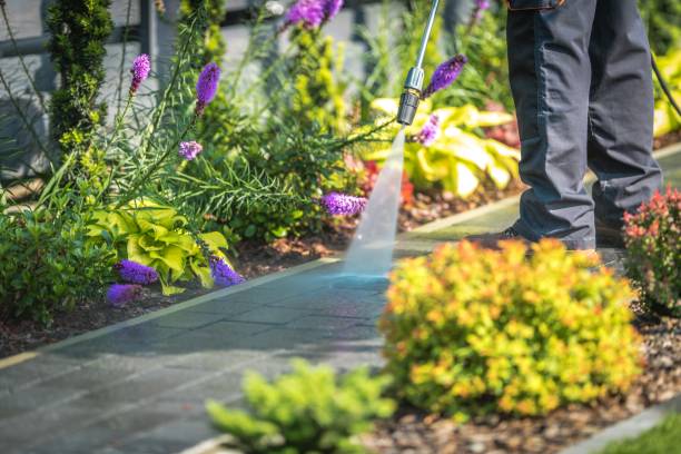 Best Dumpster Area Cleaning  in Mercedes, TX