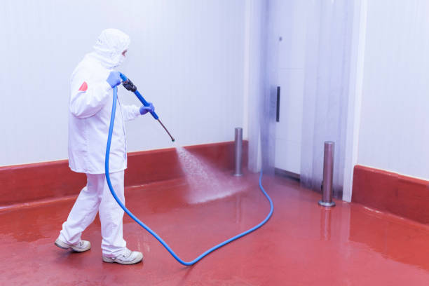 Best Driveway Pressure Washing  in Mercedes, TX