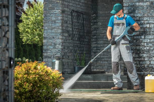 Best Graffiti Removal  in Mercedes, TX