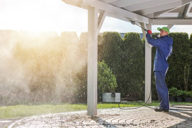 Animal Enclosure Cleaning in Mercedes, TX