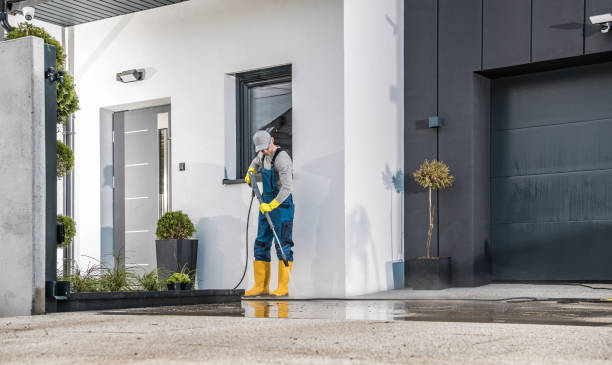 Best Animal Enclosure Cleaning  in Mercedes, TX